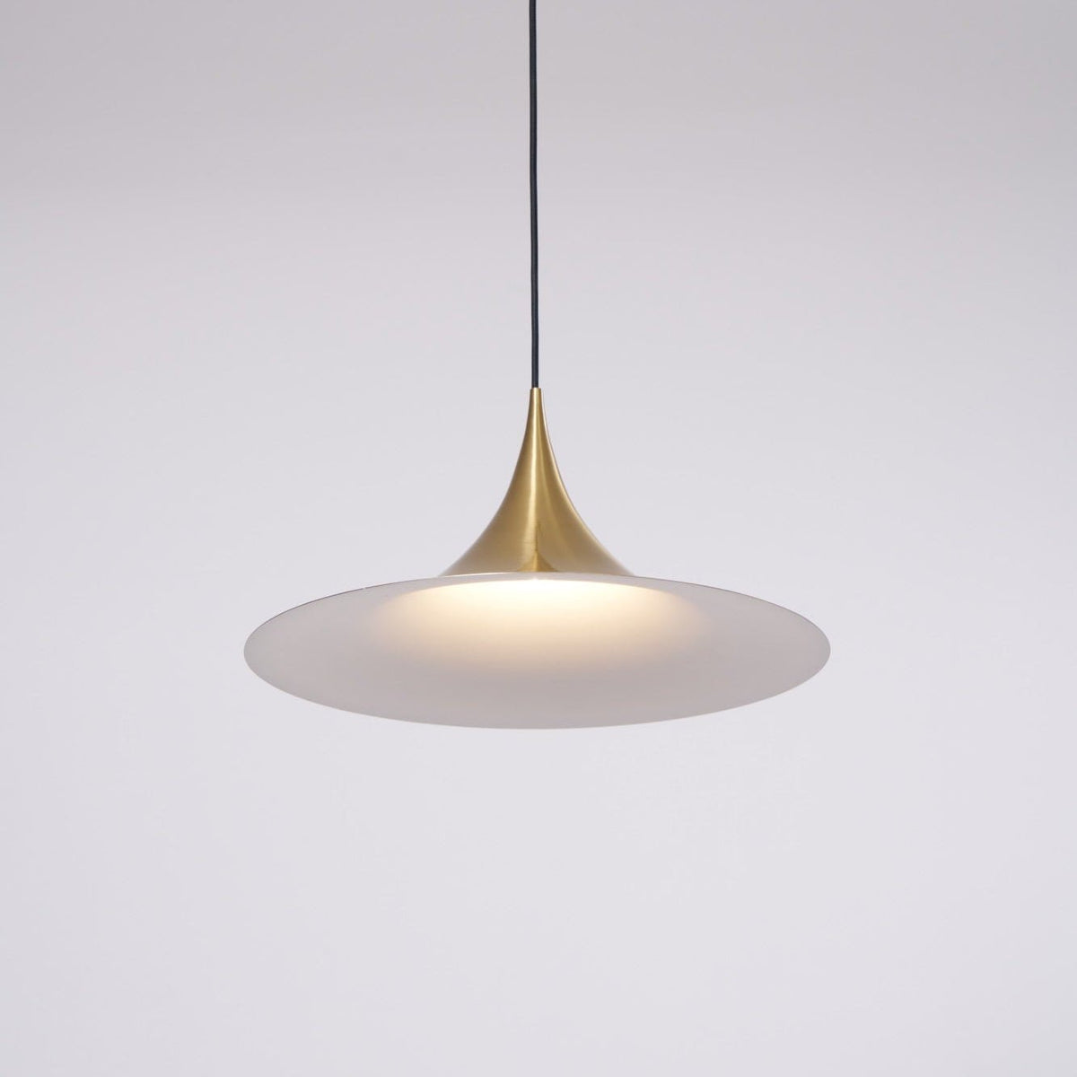 Lioreina Swag hanglamp