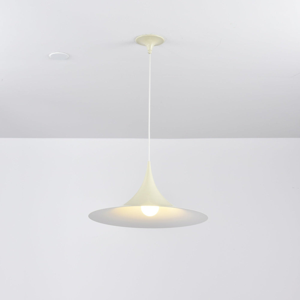 Valerira hanglamp van staal