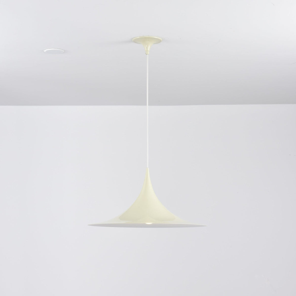 Lioreina Swag hanglamp