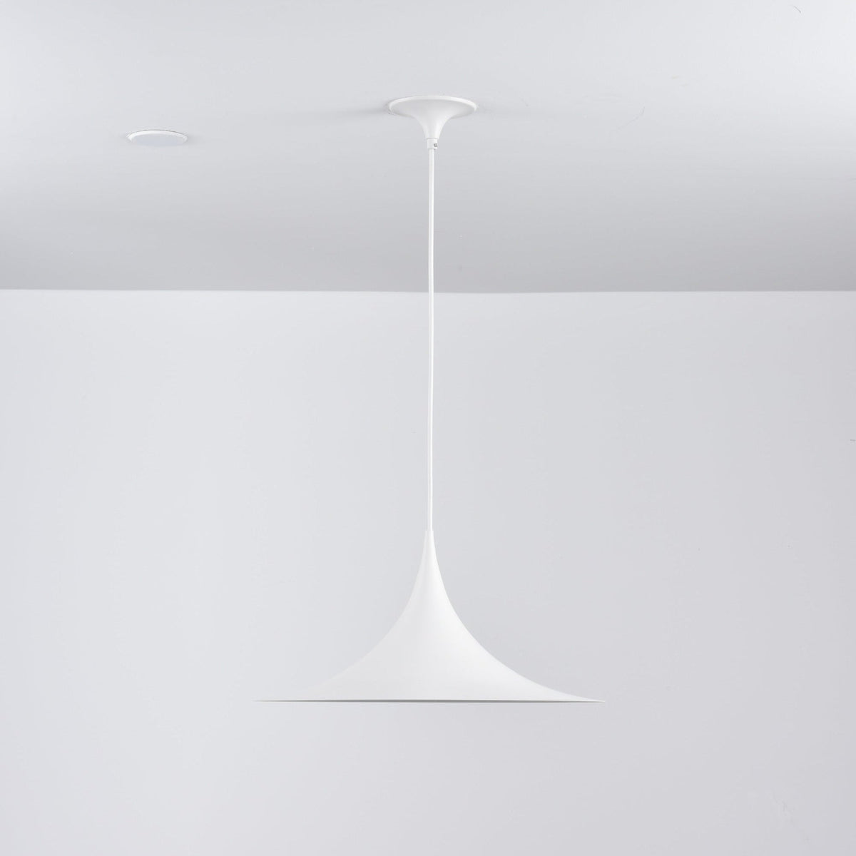 Lioreina Swag hanglamp