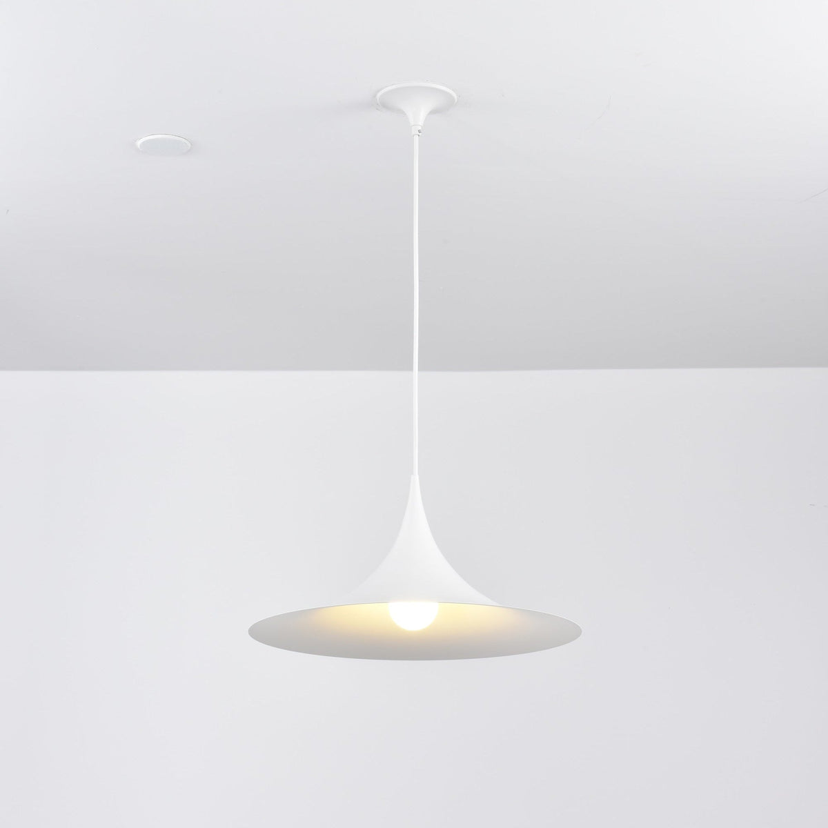 Valerira hanglamp van staal
