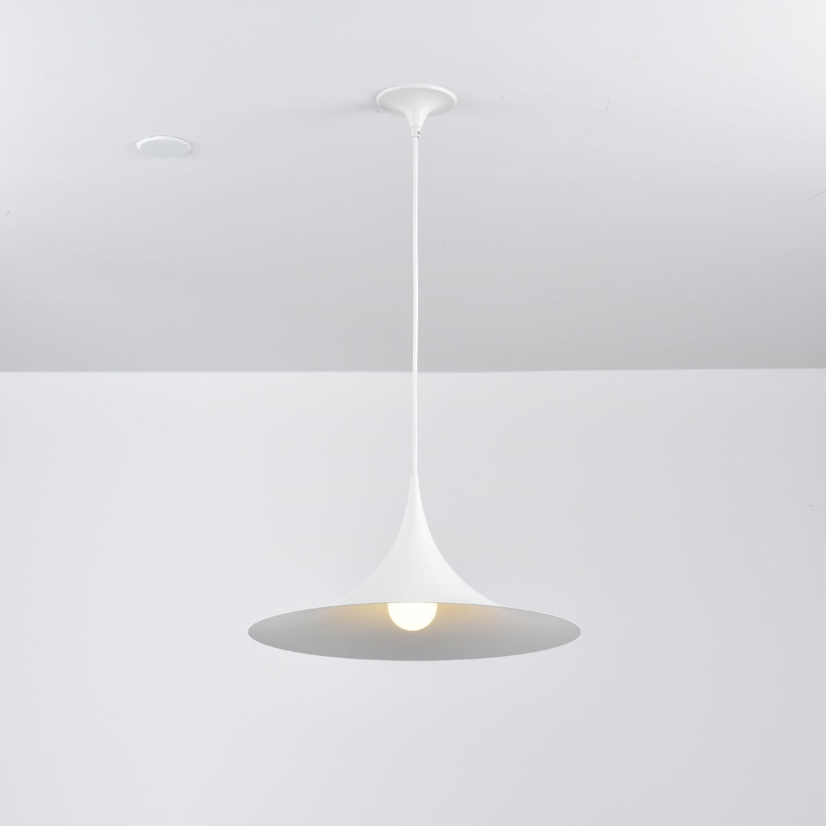 Lioreina Swag hanglamp