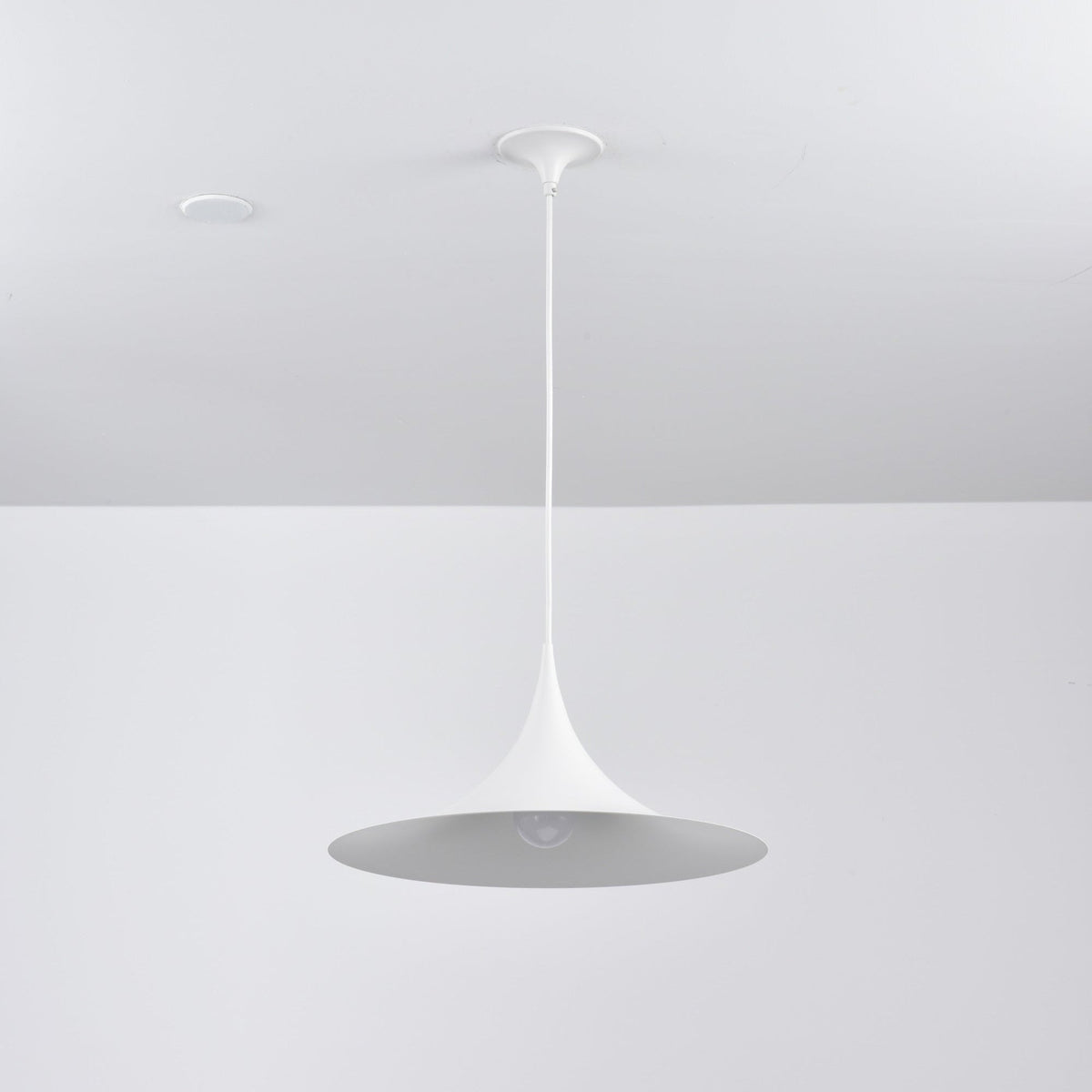 Lioreina Swag hanglamp