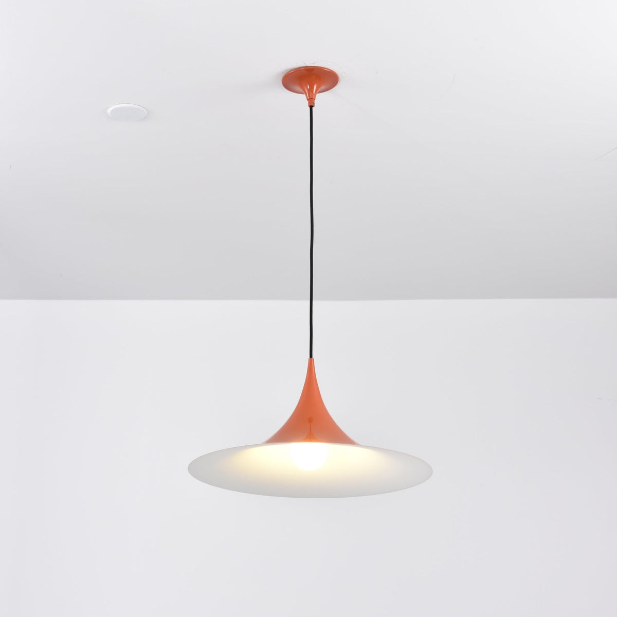Lioreina Swag hanglamp