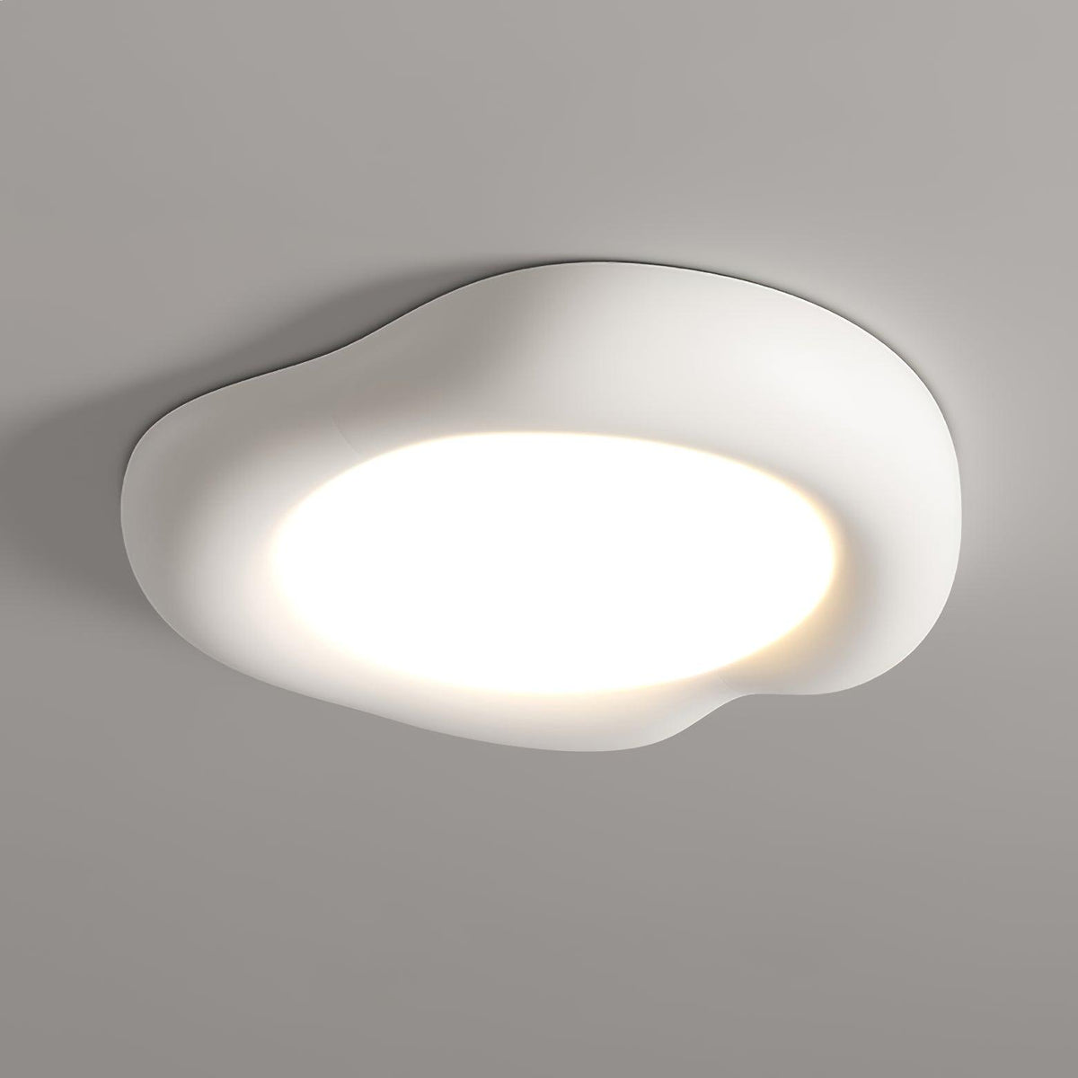 Zelaeis gevormde appel hars plafondlamp