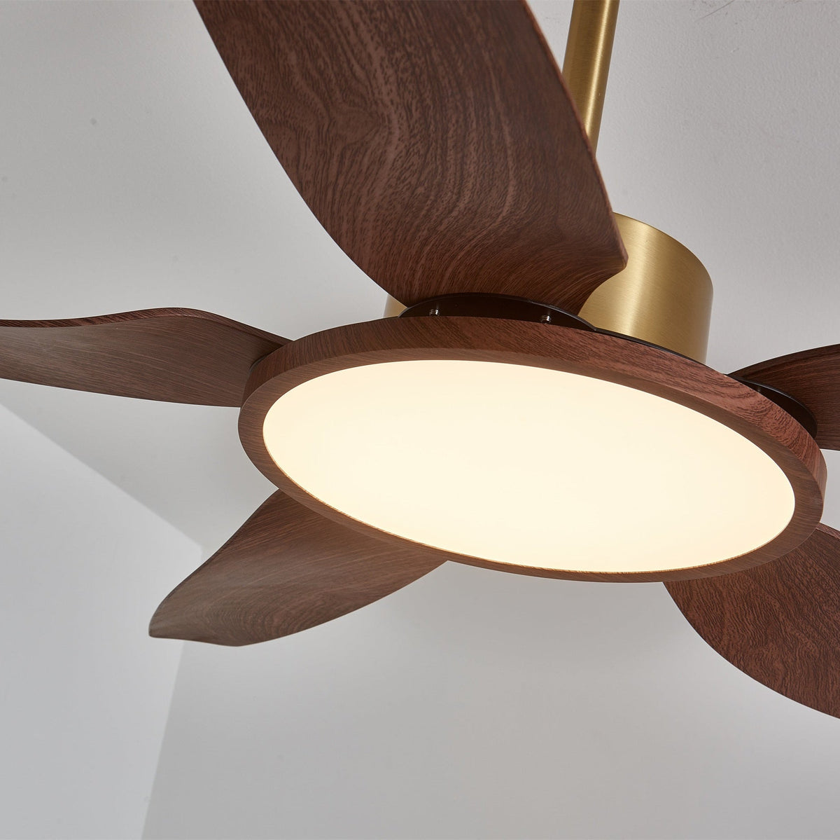 Sylenel modern Hout Messing Plafondventilator met lamp