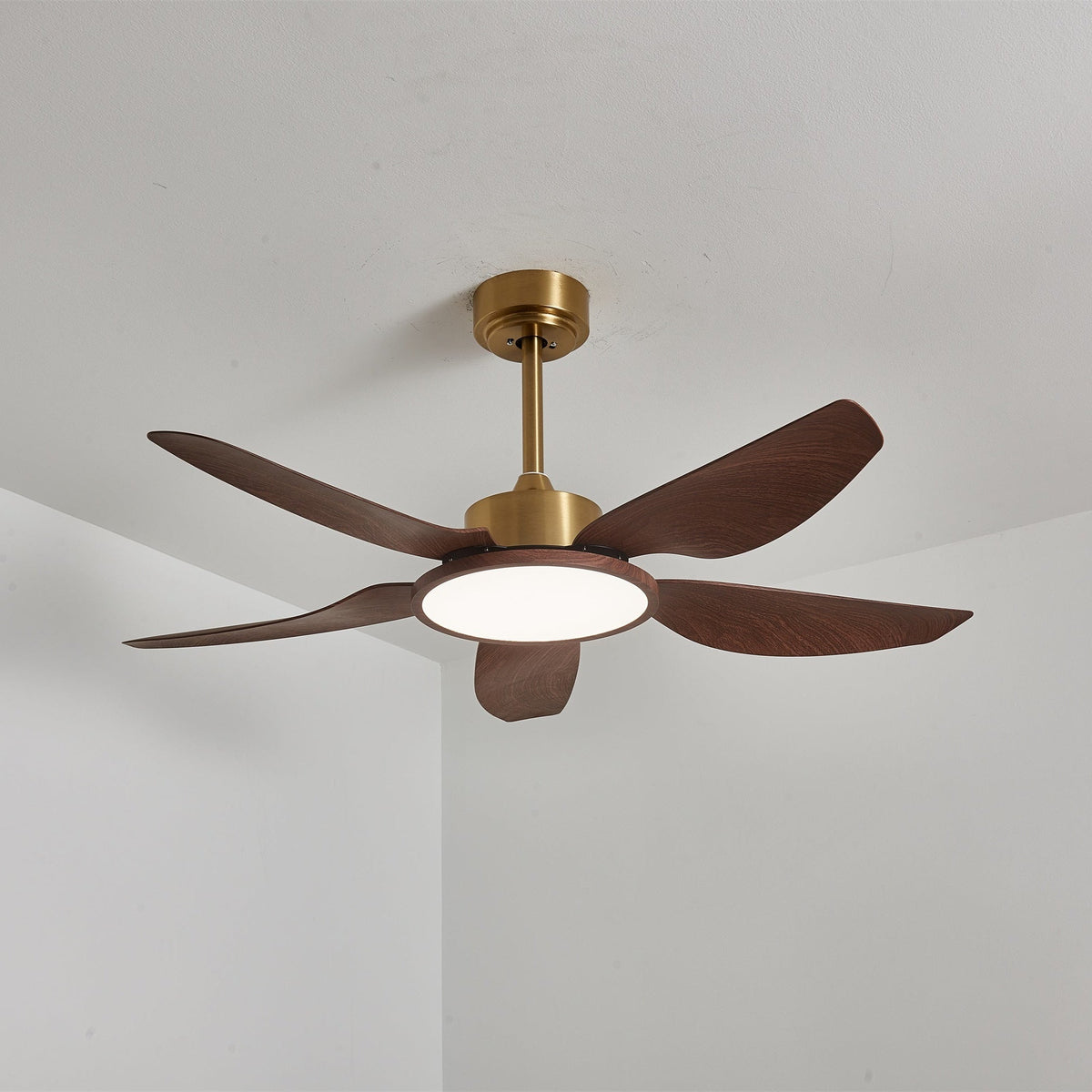 Sylenel modern Hout Messing Plafondventilator met lamp
