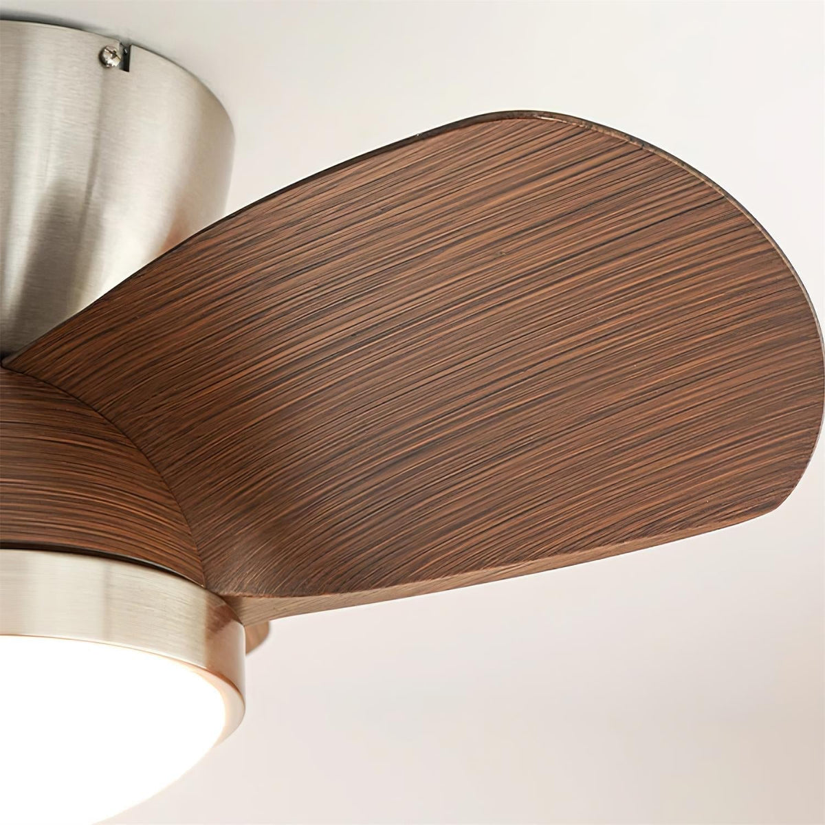 Lioraleria plafondventilator met verlichting