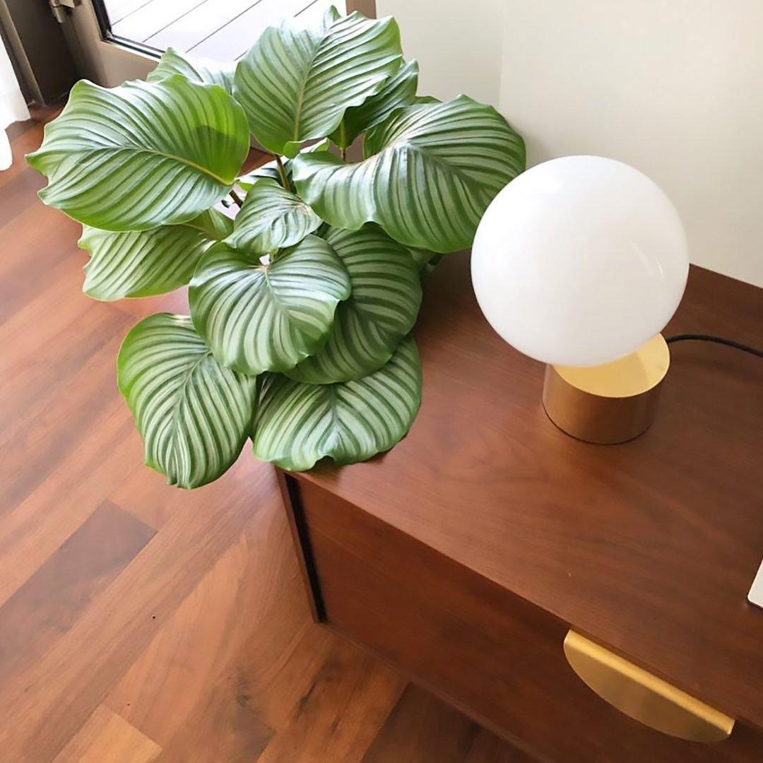 Eiraella tafellamp van glas in goudkleurige afwerking