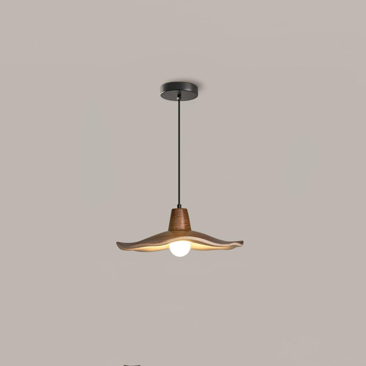 Veliviella Noordse kunst hars hanglamp