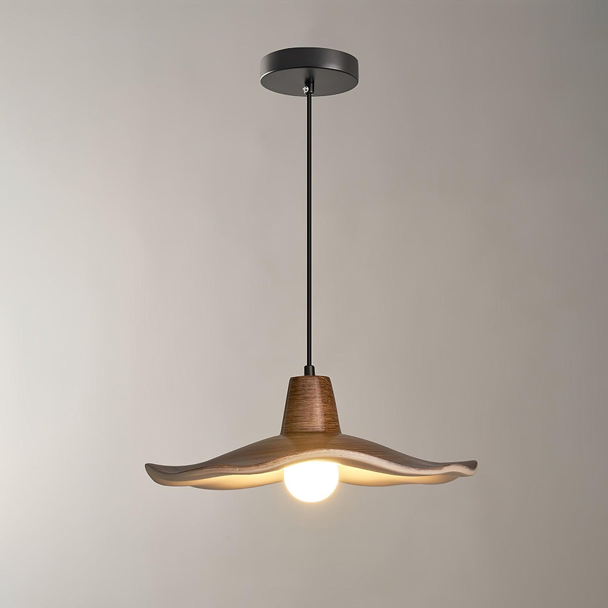 Veliviella Noordse kunst hars hanglamp