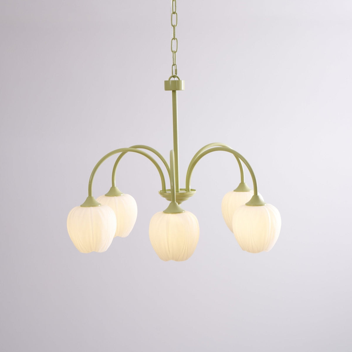 Eiraine kroonluchter Tulip Matcha glas