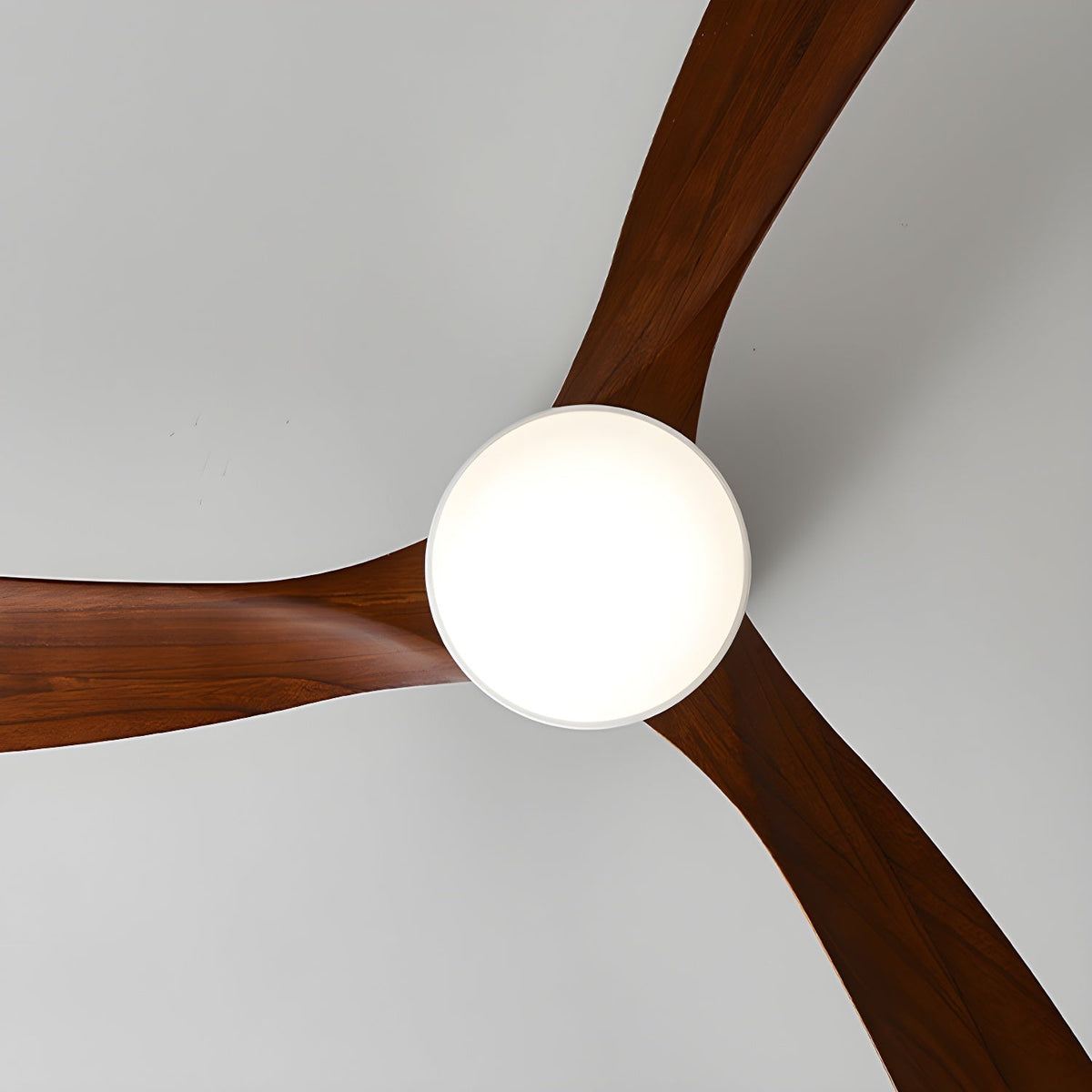 Miroise plafondventilator met verlichting