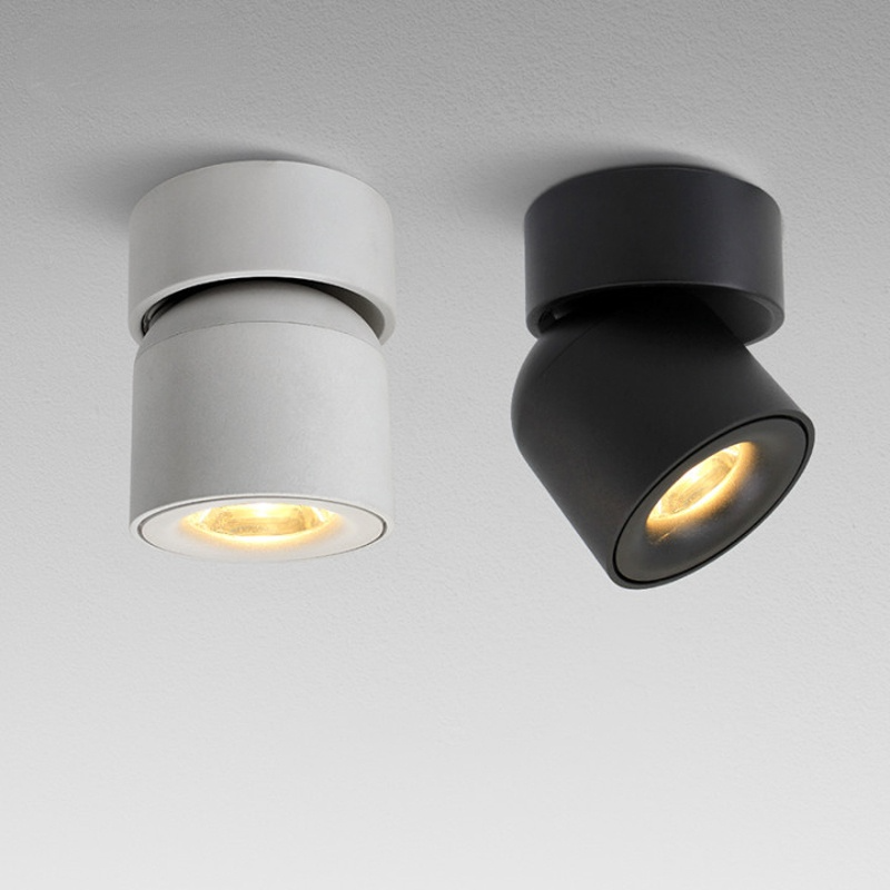 Novak Kleine LED Plafondlamp Zwart Wit Metaal Acryl Slaapkamer